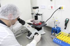 O Instituto de Tecnologia do Paraná (Tecpar) está com edital aberto para recebimentode propostas de empresas farmacêuticas interessadas em produzir nacionalmente avacina pentavalente, que protege contra difteria, tétano, coqueluche, hepatite B e pneumonia/meningite. - Curitiba, 24/11/2021 - Foto: Tecpar