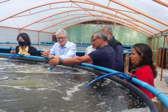 O secretário da Agricultura e do Abastecimento, Norberto Ortigara visita a Villa Peixes, em Curitiba. Foto:SEAB