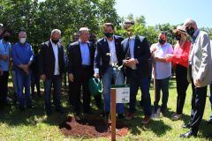 Em Foz do Iguaçu, governador acompanha plantio da 24ª milionésima árvore pela Itaipu Binacional