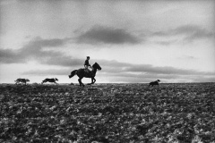 MON realiza exposição inédita do fotógrafo Orlando Azevedo