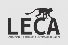 Projeto do CCB orienta comunidade sobre o convívio com os macacos-pregos do Campus