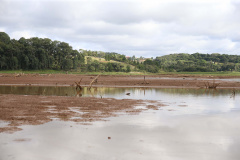 Cidades do Sudoeste continuam em alerta no abastecimento de água