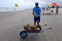 Sanepar coleta 600 kg de coco verde por dia nas praias de Pontal do Paraná