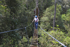 Concessão de parques abre oportunidades a profissionais de turismo