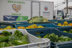 Ações do Estado ampliam segurança alimentar e fortalecem agricultura familiar