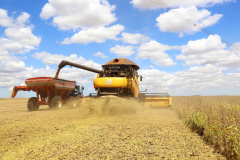 Secretaria da Agricultura lança Caderno com análise da evolução do Valor Bruto da Produção