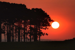 “Calorão” faz Paraná chegar a 40°C; cidades registram recordes históricos