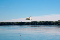 Rio Paraná- Porto Rico