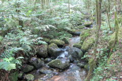 Governo do Paraná destaca papel das RPPNs na conservação da biodiversidade