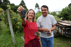 PRODUTORES ORGÂNICOS DA GRANDE CURITIBA CONTAM COM CERTIFICAÇÃO PELO TECPAR