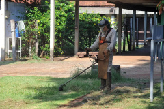 Grupo de Vigilância e PCU investem em ações contra o mosquito da dengue no Campus