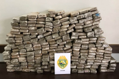 PM apreende mais de 181 quilos de maconha em Guarapuava (PR)