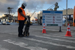 Portos do Paraná reforçam segurança com inspeções com cães de faro