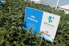 IDR-Paraná apresenta cultivares de mandioca, soja e maracujá ao setor produtivo - Cascavel, 09/02/2022