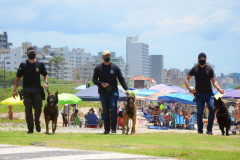 Cães policiais da Polícia Civil interagem com a sociedade no Litoral