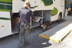 Polícia Civil faz fiscalização com cães policiais na rodoviária de Matinhos