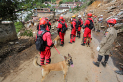 Bombeiros do Paraná concluem participação nas buscas por vítimas em Petrópolis