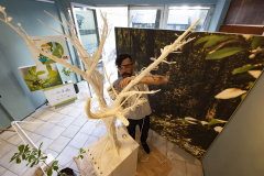  Andersen recebe cyber ilex, exposição que atualiza o valor do mate na cultura paranaense