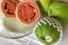 Frutas paranaenses ganham mercado internacional 