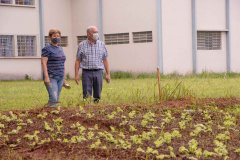 Parceria entre Hospital Universitário e Colégio Agrícola inicia produção de ervas terapêuticas