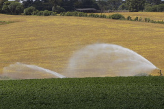 Irrigantes e aquicultores devem atualizar cadastro para manter desconto na conta de luz