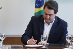 Governador