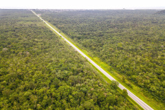 DER/PR define vencedor da licitação do anteprojeto de duplicação entre Guaratuba e Santa Catarina 