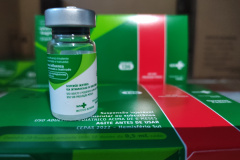 Mais 619 mil doses da vacina contra a gripe chegam ao Paraná