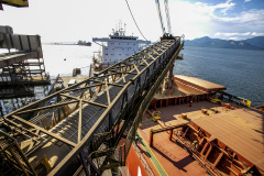  Terminais paranaenses esperam exportar mais de 6,5 milhões de toneladas de granéis neste 2º semestre 