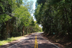 Trecho da PR-317 entre Toledo e Santa Helena recebe reforço na sinalização viária