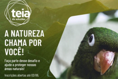  Chamada seleciona soluções para fortalecer áreas naturais protegidas 