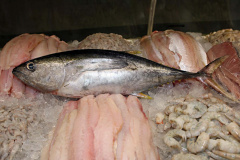 Vigilância Sanitária alerta sobre cuidados na compra de pescados para a Semana Santa
