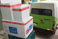 Mais de 86 mil vacinas contra a Covid-19 são distribuídas nesta quarta-feira