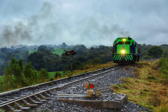 Ferroeste