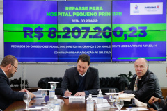 PEQUENO PRÍNCIPE