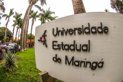 Seminário na UEM debate novo projeto de desenvolvimento do Noroeste