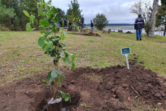  Paraná recebe convite para renovar parceria com SCDB na neutralização de CO2