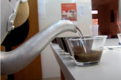 Café Qualidade Paraná está com inscrições abertas
