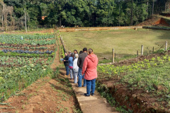 IDR-Paraná participa do maior evento agroecológico do país