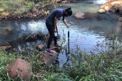 Sanepar inicia avaliação de água e solo no Arroio Dourado, em Foz do Iguaçu