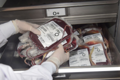 Em ação solidária, Paraná destina 124 bolsas de sangue a Pernambuco