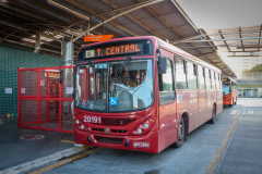 Comec aumenta fluxo de ônibus para atender demanda de São José dos Pinhais