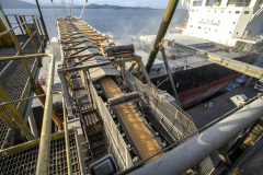 Exportação de milho a granel sobe 161% pelo Porto de Paranaguá