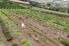 Governo assina termos para ampliação dos projetos Renda Agricultor Familiar e Inclusão Produtiva Solidária