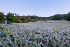 frio