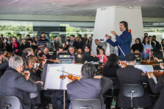 Músicos profissionais podem se cadastrar para tocar com a Orquestra Sinfônica do Paraná