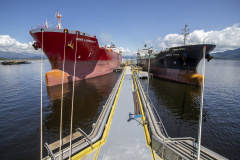   Embarque de líquidos de origem vegetal é destaque nas exportações pelo Porto de Paranaguá