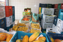  Banco de Alimentos – Comida Boa