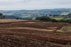 Vazio Sanitário