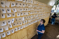 Artista Manoela Cavalinho ocupa Espaço Vitrine do Museu Paranaense